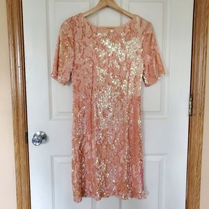 Fully Sequined Reversible Sheath Dress Pink